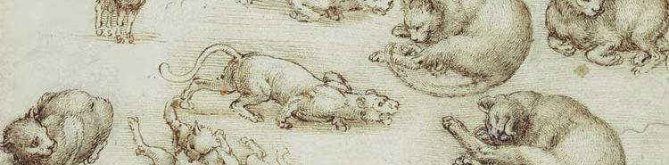 Les chats de Léonard de Vinci: études sur les félins et celles pour la Madone au chat