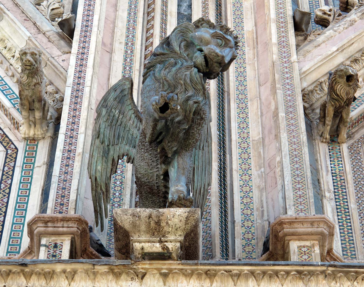 Il leone di san Marco. Foto di Francesco Bini Il leone di san Marco. Foto di Francesco Bini
