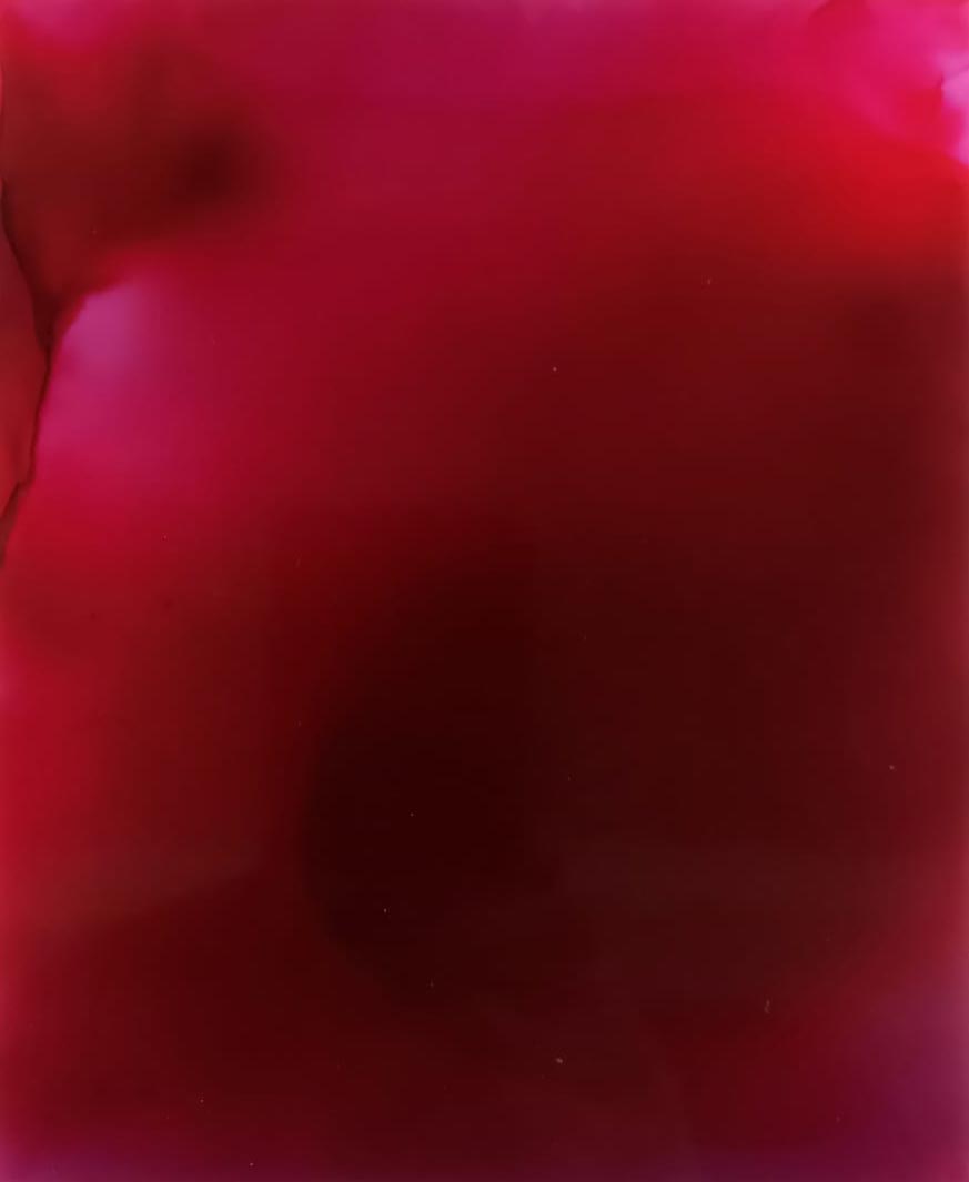 Maurizio Faleni, Royal Red (técnica mixta sobre aluminio, 103 x 79 cm) Maurizio Faleni, Royal Red (técnica mixta sobre aluminio, 103 x 79 cm)