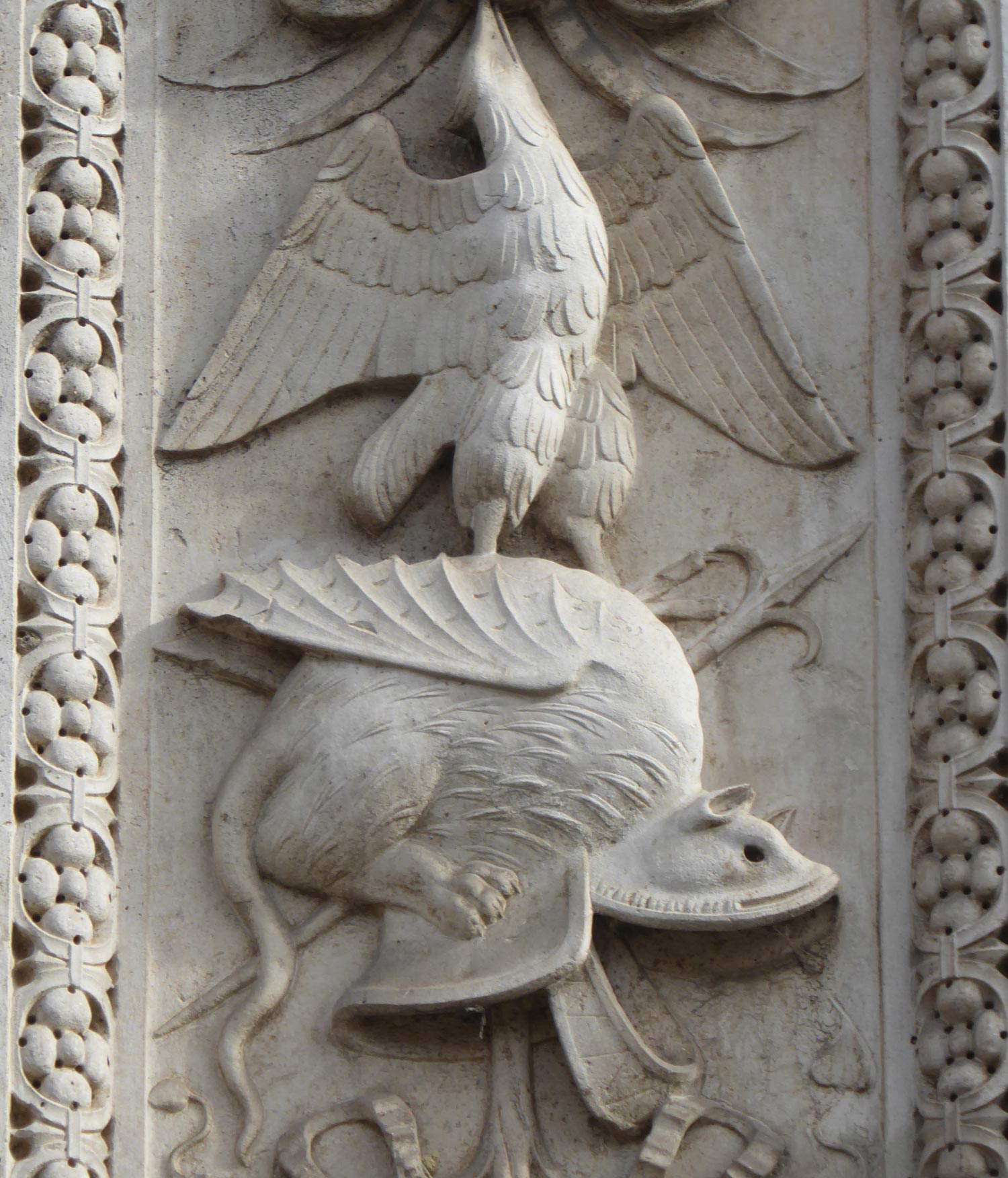 Elmo con topo alato dal Portale del Palazzo dei Principi in Correggio