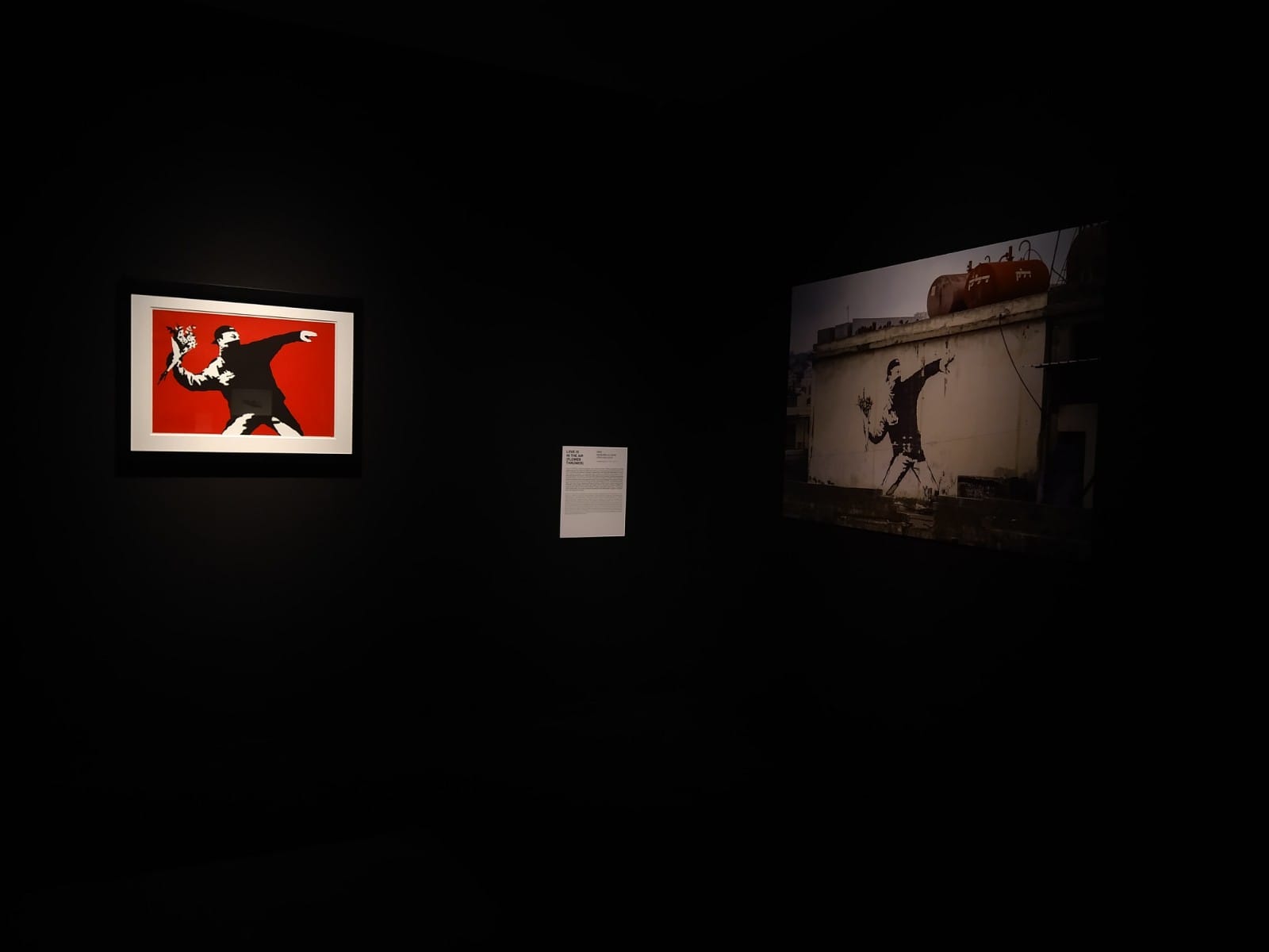 Mostra di Banksy a Livorno Mostra di Banksy a Livorno
