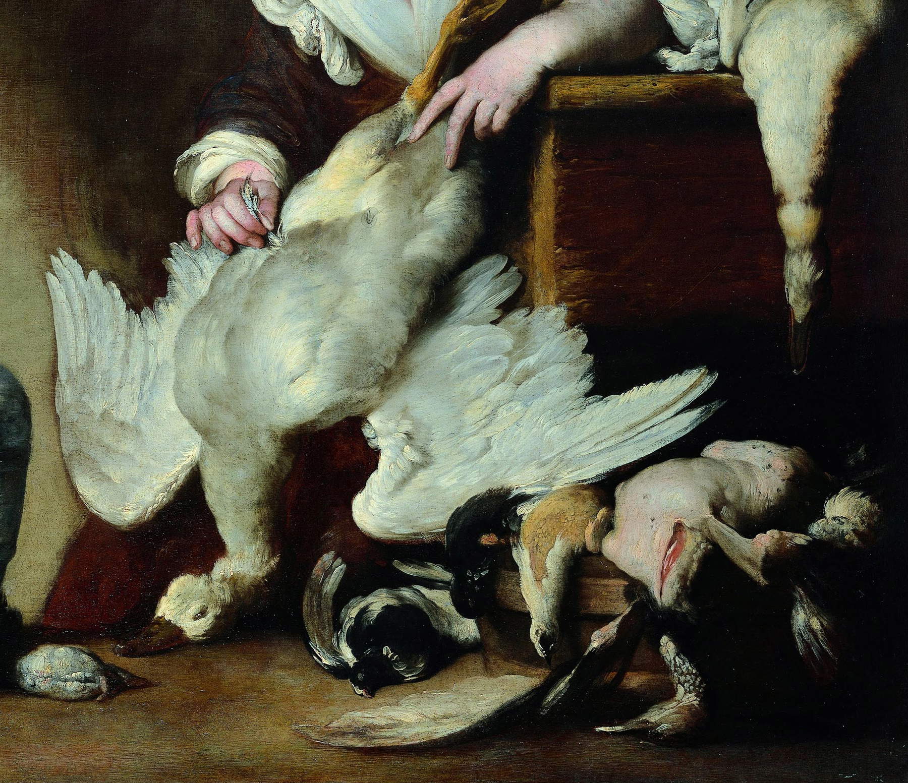 Bernardo Strozzi, Der Koch, Detail des Gänsegefieders Bernardo Strozzi, Der Koch, Detail des Gänsegefieders