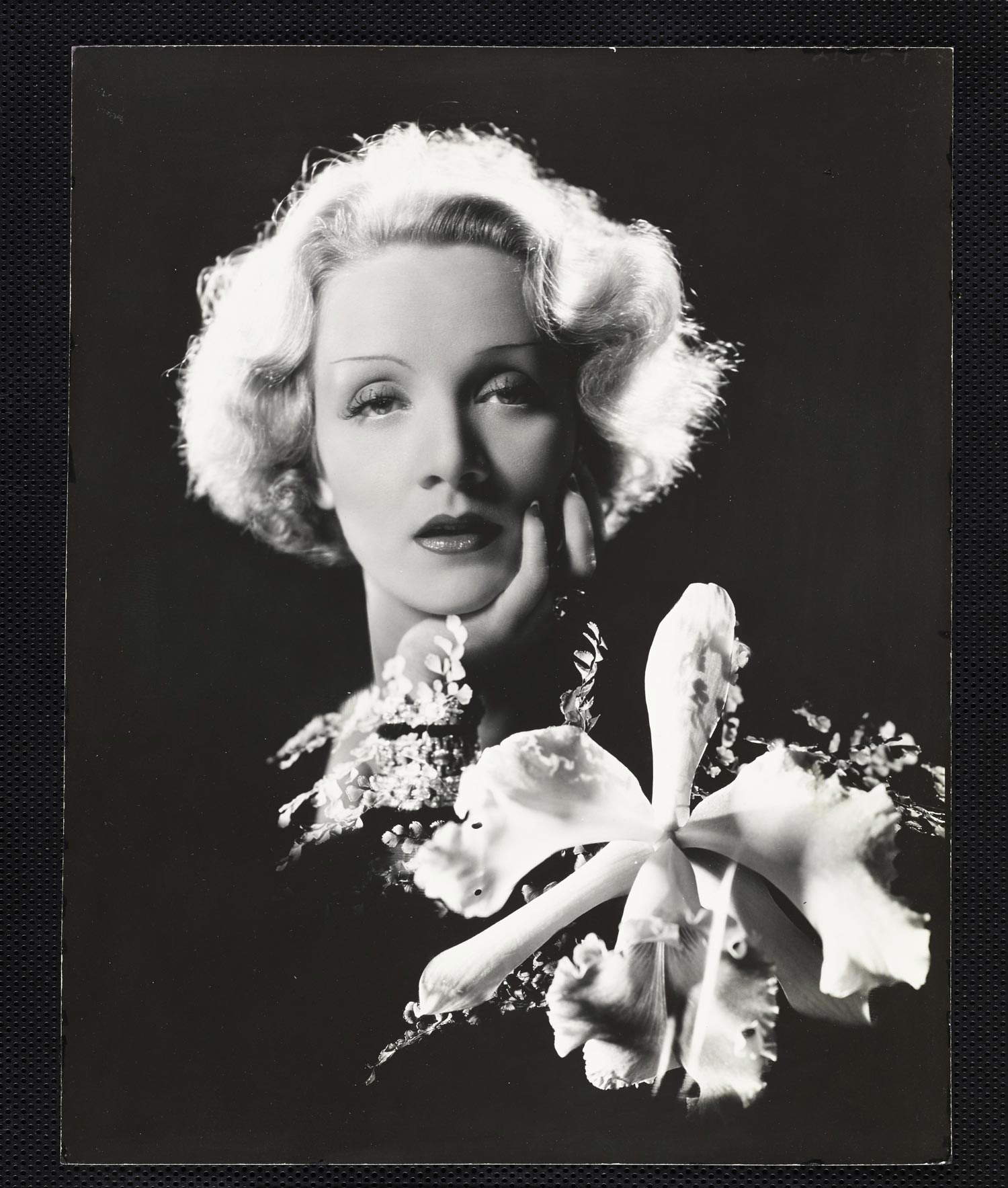 Cecil Beaton, Marlene Dietrich, 1932, Vanity Fair &copy; Cond&eacute; Nast