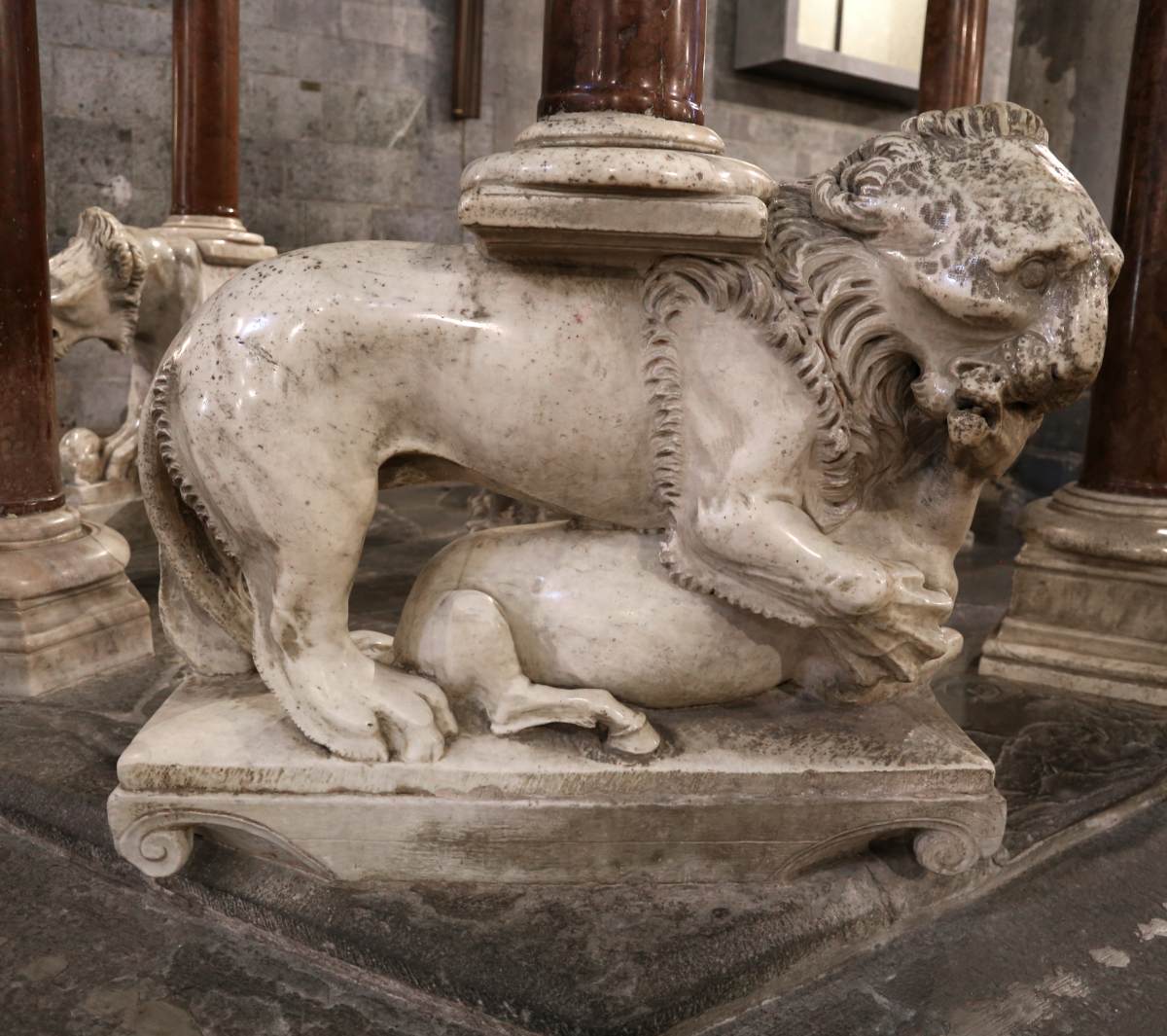 El león mata al caballo El león mata al caballo