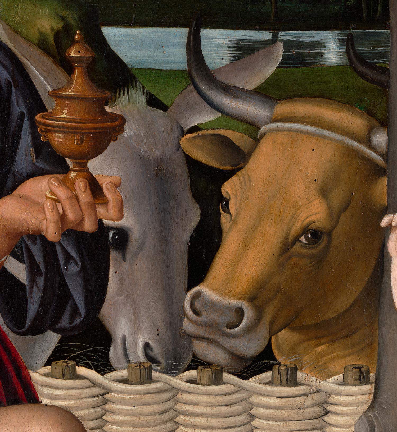 The ox and the donkey The ox and the donkey