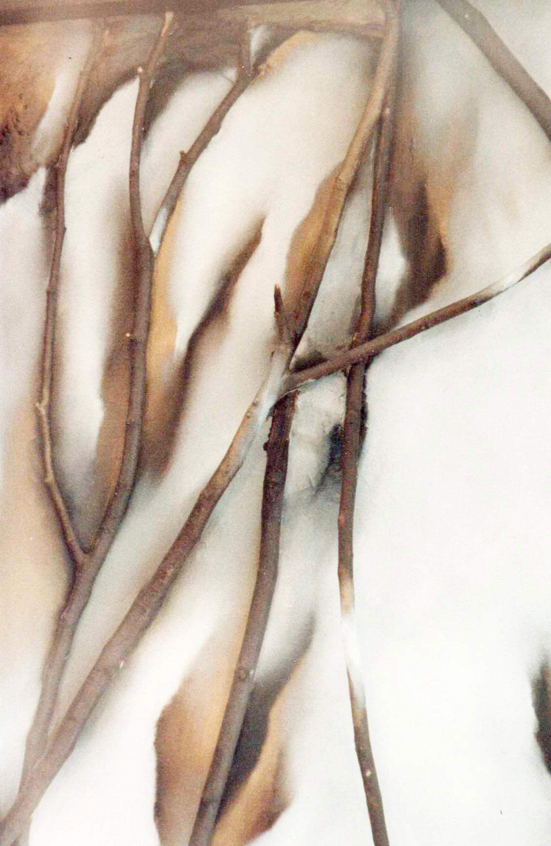 Angelo Pretolani, Il tempo che tutto dimora, détail (1990 ; huile sur toile, branches, goudron et combustion, 100 x220 x 8 cm ; Gênes, collection privée) Angelo Pretolani, Il tempo che tutto dimora, détail (1990 ; huile sur toile, branches, goudron et combustion, 100 x220 x 8 cm ; Gênes, collection privée)