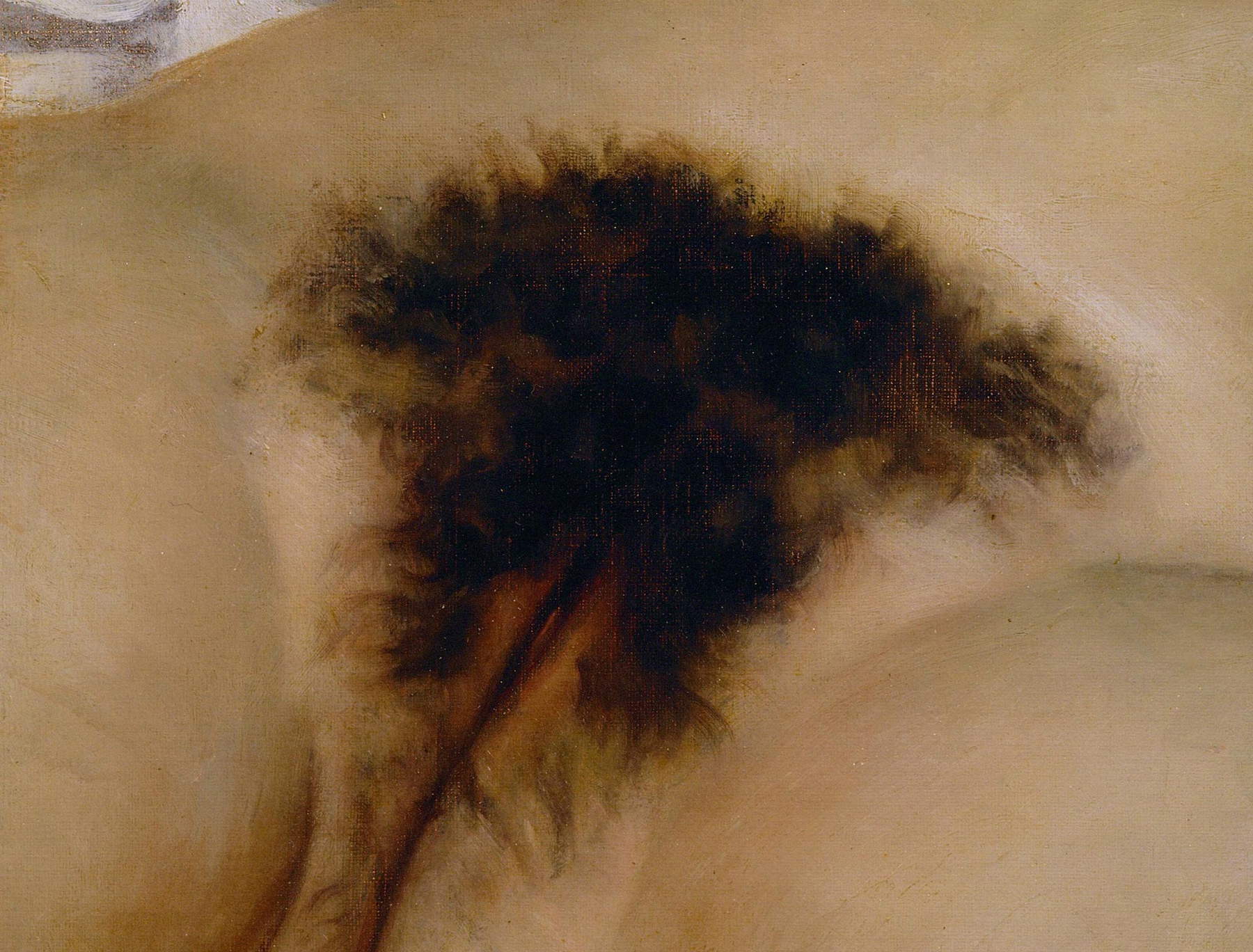 Gustave Courbet, L'Origine du Monde, dettaglio Gustave Courbet, L'Origine du Monde, dettaglio