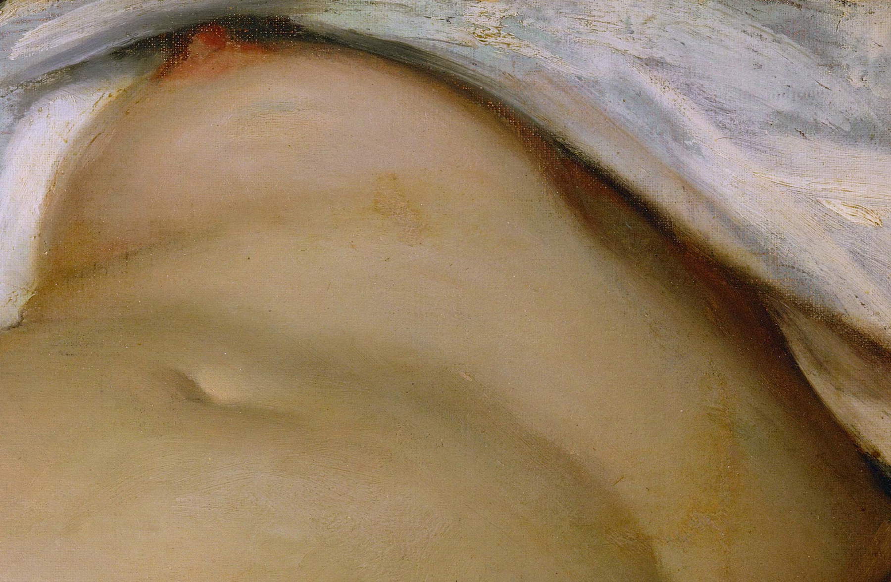 Gustave Courbet, L'Origine du Monde, dettaglio Gustave Courbet, L'Origine du Monde, dettaglio