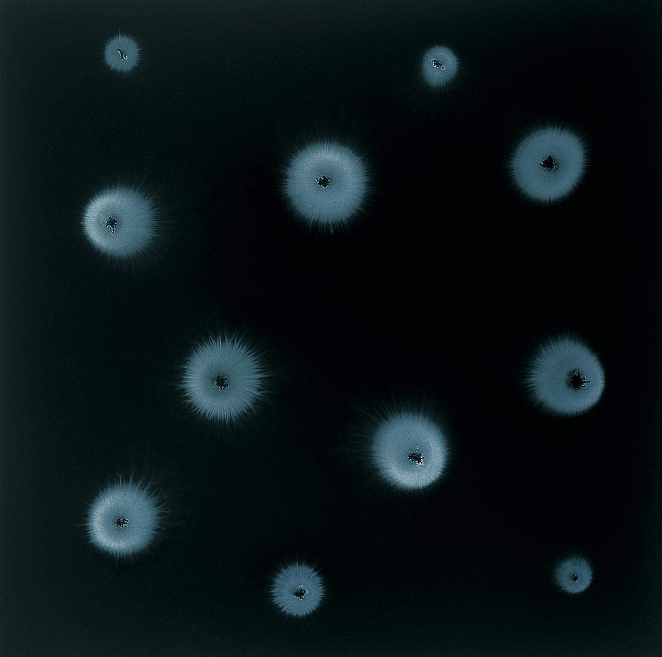 Letizia Galli, D.White.5 (1998; olio su tela, 180 x 180 cm) Letizia Galli, D.White.5 (1998; olio su tela, 180 x 180 cm)