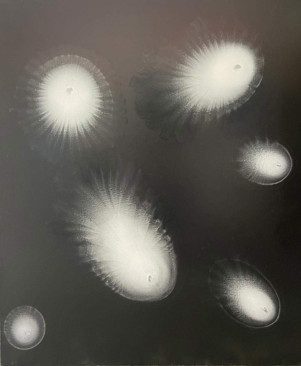 Letizia Galli, Fractal.2 (2019; olio su tela, 120 x 100 cm) Letizia Galli, Fractal.2 (2019; olio su tela, 120 x 100 cm)