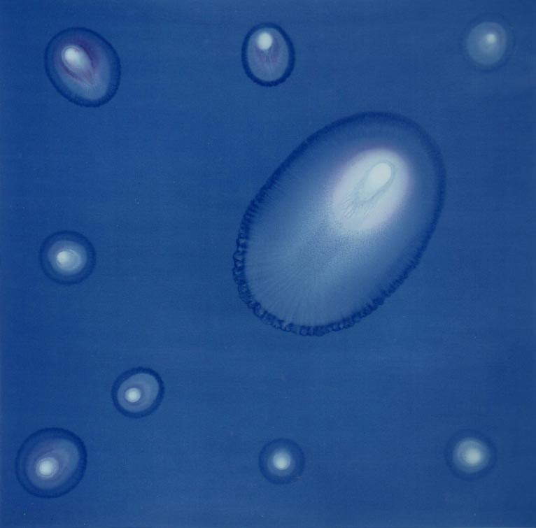 Letizia Galli, Therapeutic Blue.1 (1996; olio su tela, 150 x 150 cm) Letizia Galli, Therapeutic Blue.1 (1996; olio su tela, 150 x 150 cm)
