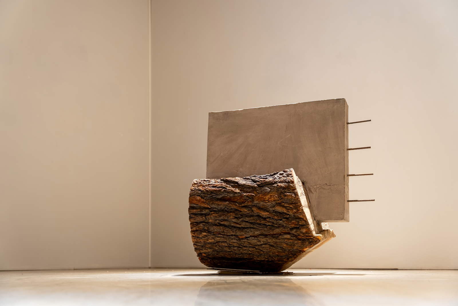 Stefano Canto, Rp 7 (Pino, Casa dell’architettura, Roma) (2017; cemento armato e tronco d’albero). Su concessione di Galleria Materia, Roma. Foto: Giuseppe D’Aleo Stefano Canto, Rp 7 (Pino, Casa dell’architettura, Roma) (2017; cemento armato e tronco d’albero). Su concessione di Galleria Materia, Roma. Foto: Giuseppe D’Aleo