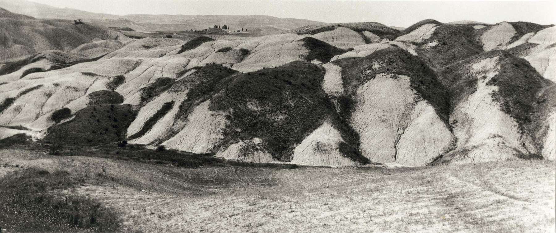 Vincenzo Balocchi, Landscape in the Volterra area (Volterra, c. 1955-1965; gelatin silver bromide print on paper; Florence, Alinari Archives-Balocchi Archive)