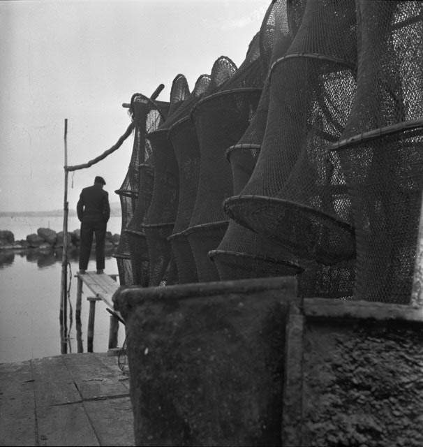 Agn&egrave;s Varda, Filets de p&ecirc;che &agrave; la Pointe courte (March-April 1953; print from negative). Courtesy of Succession Agn&egrave;s Varda / Fonds Agn&egrave;s Varda deposited at the Institut pour la photographie des Hauts-de-France.