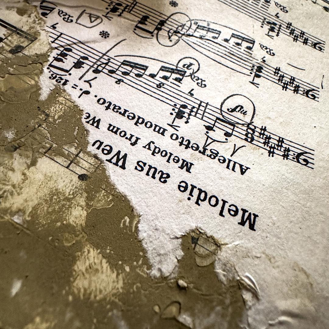 La Scuola di Musica Sarti La Scuola di Musica Sarti