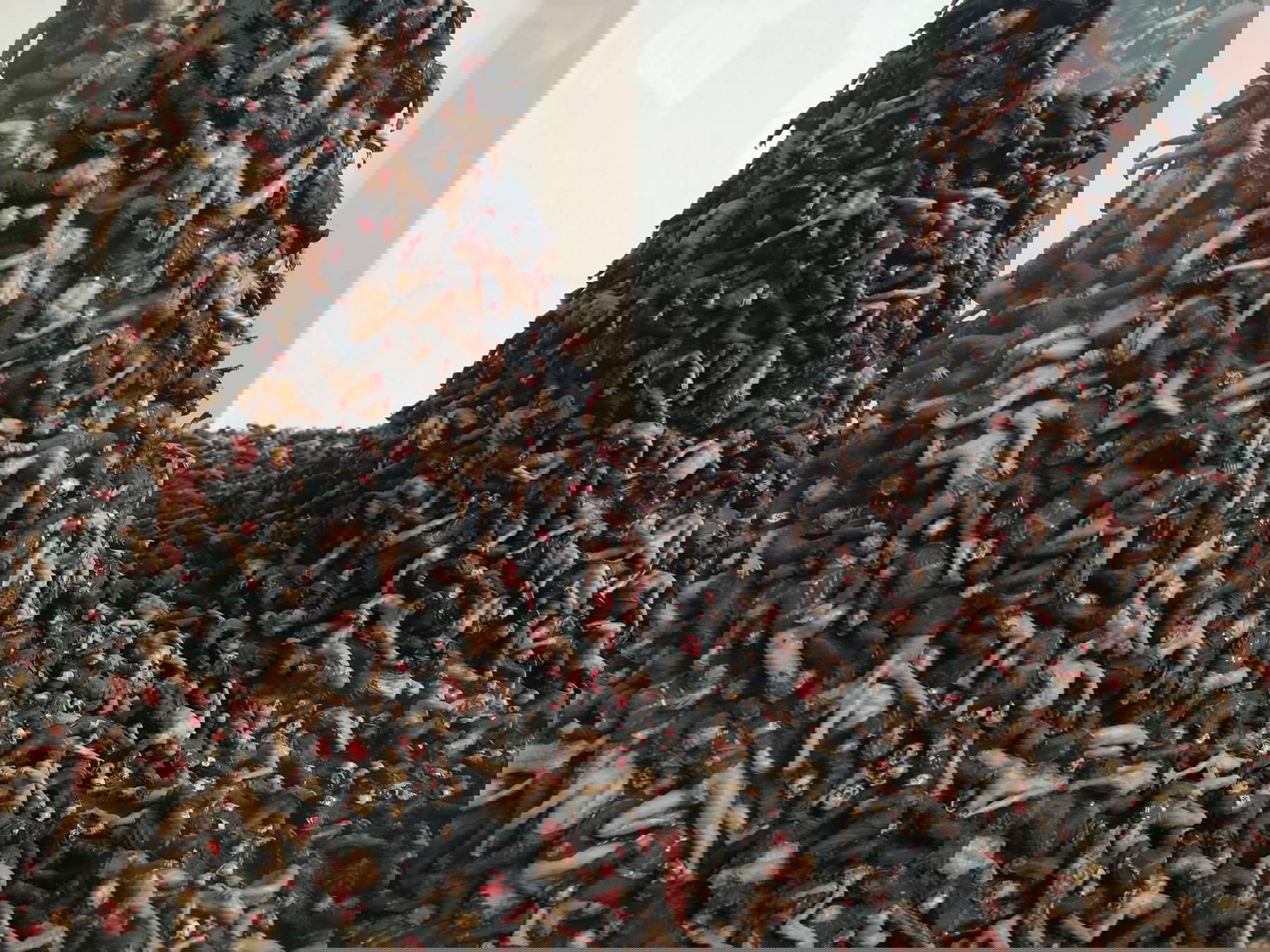 Jake and Dinos Chapman, The Blind leading the Dead (Pietrasanta, The Project Space, Aug. 11 to Nov. 5, 2023), installations