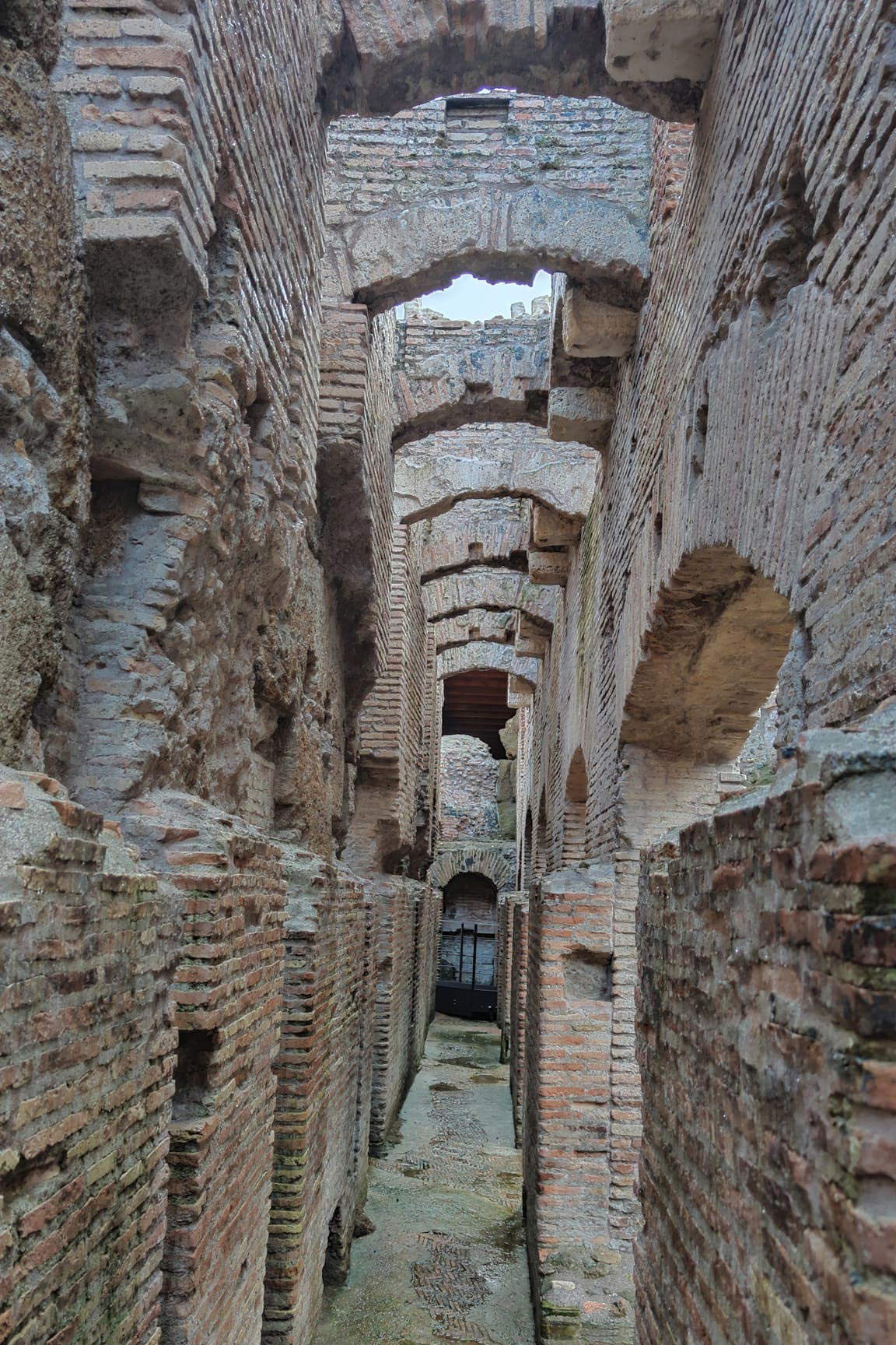 The excavation of the Volterra Amphitheater, 