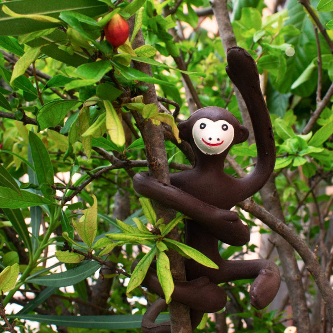 Le singe Ziz&igrave; de 2022. Photo: Corraini Edizioni