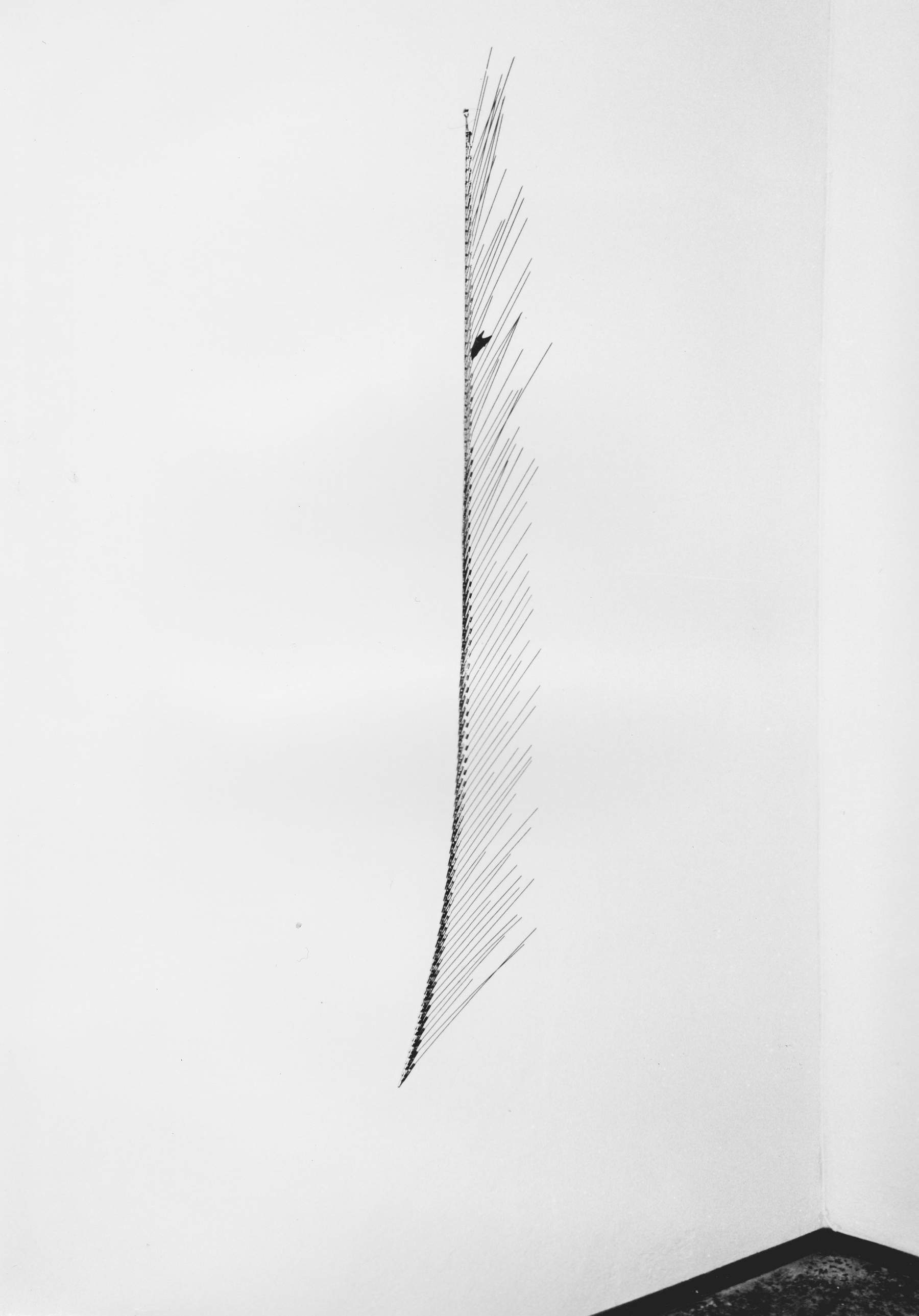 Arianna Giorgi, Bacia fiori 02 (2000; hierro, madera, pinzas de cocodrilo; Ischia, Colección Privada). Foto: Gianmaria Giorgi