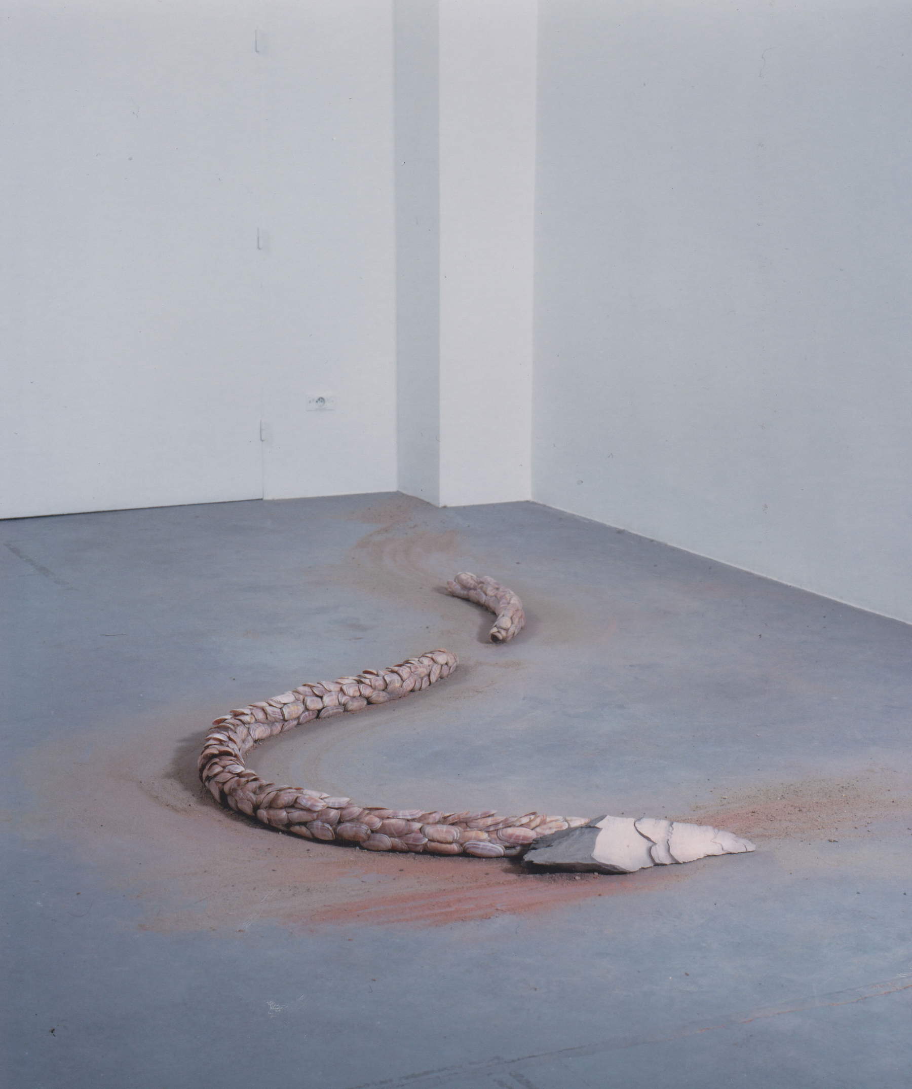 Arianna Giorgi, Lilith (1998; pizarra, lattes, color, arcilla, 12 x 130 x 240 cm). Foto: Philippe de Gobert