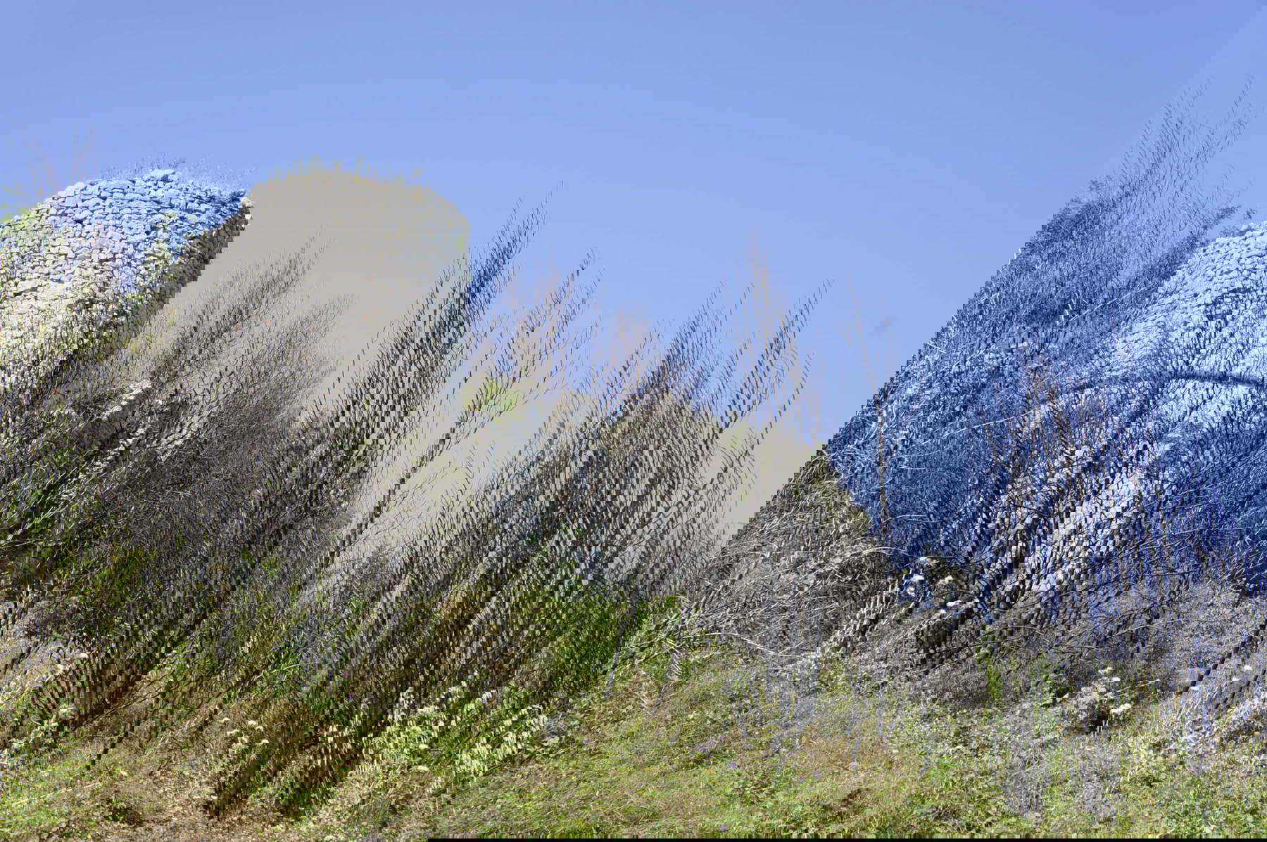 Estado de algunas iglesias y monumentos de la provincia de Campobasso