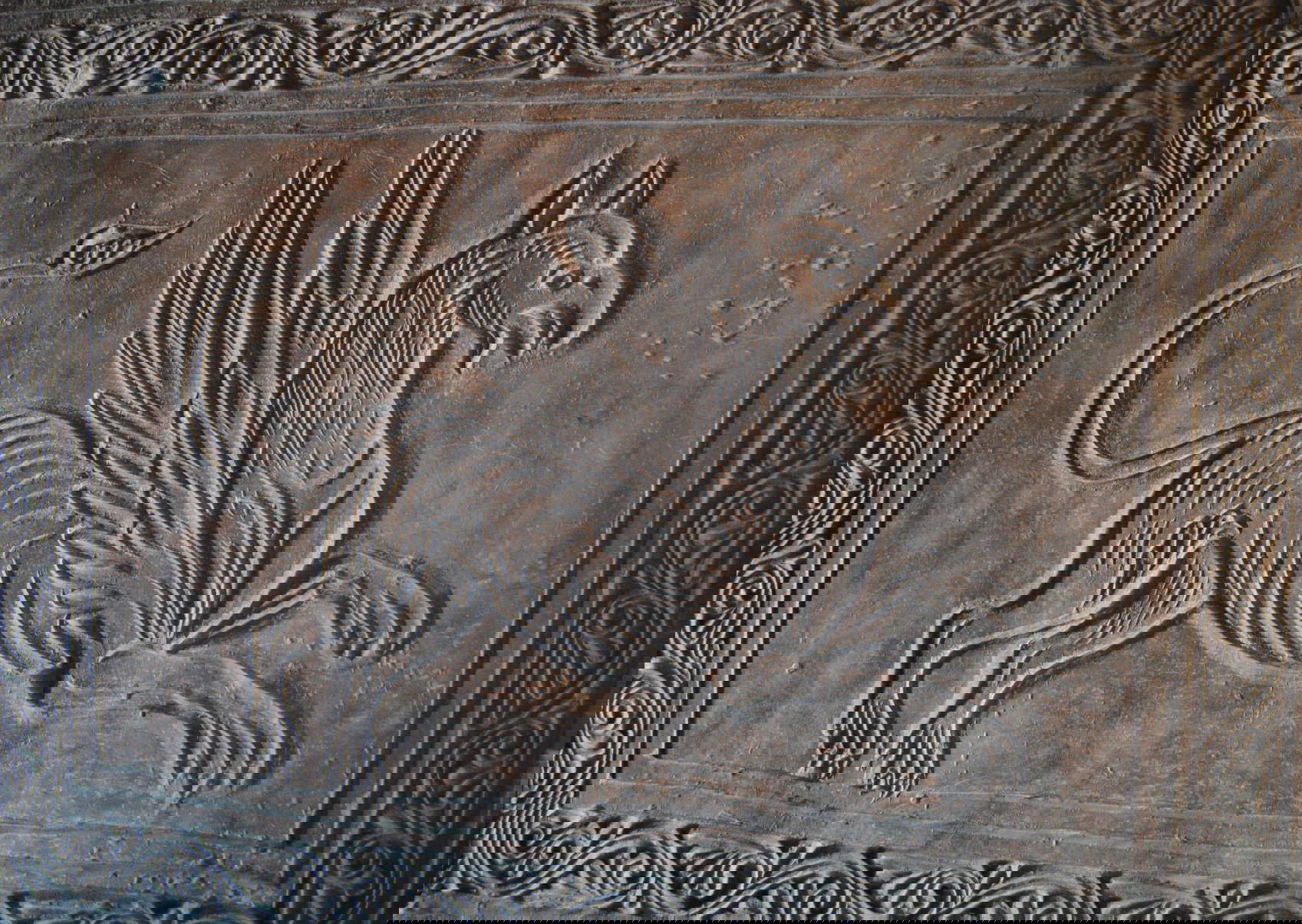 Detail of the griffon vulture. Photo: Friends of San Pietro al Monte