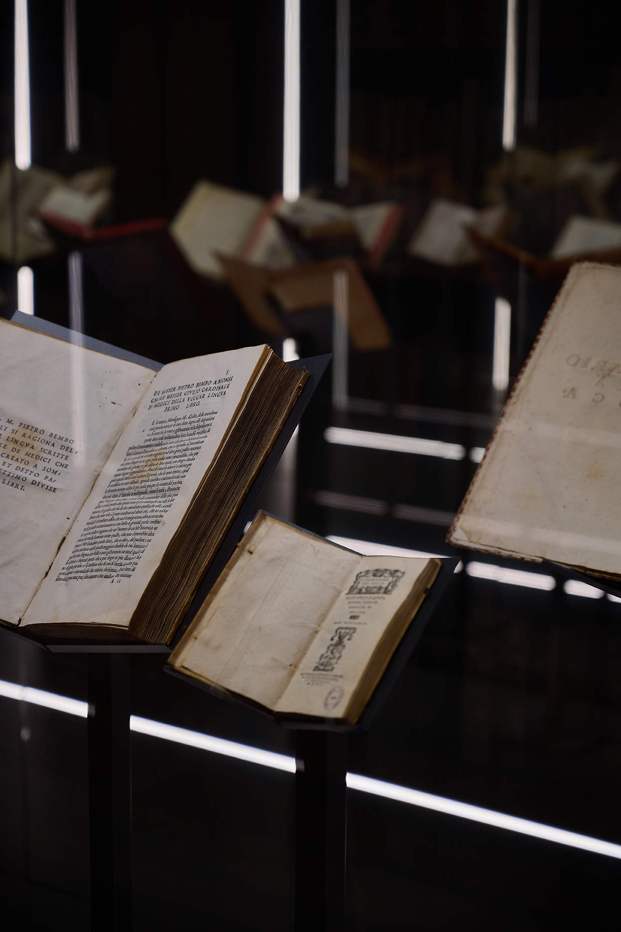 Nuevo espacio para exposiciones temporales;