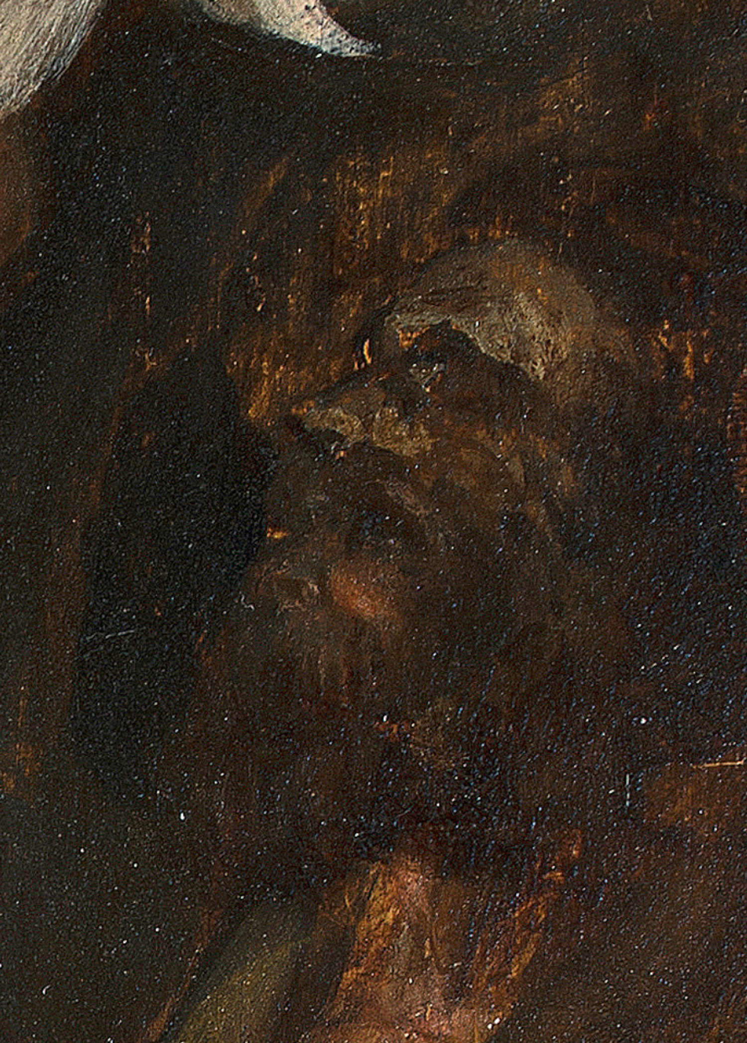 Dettaglio del san Giuseppe Dettaglio del san Giuseppe