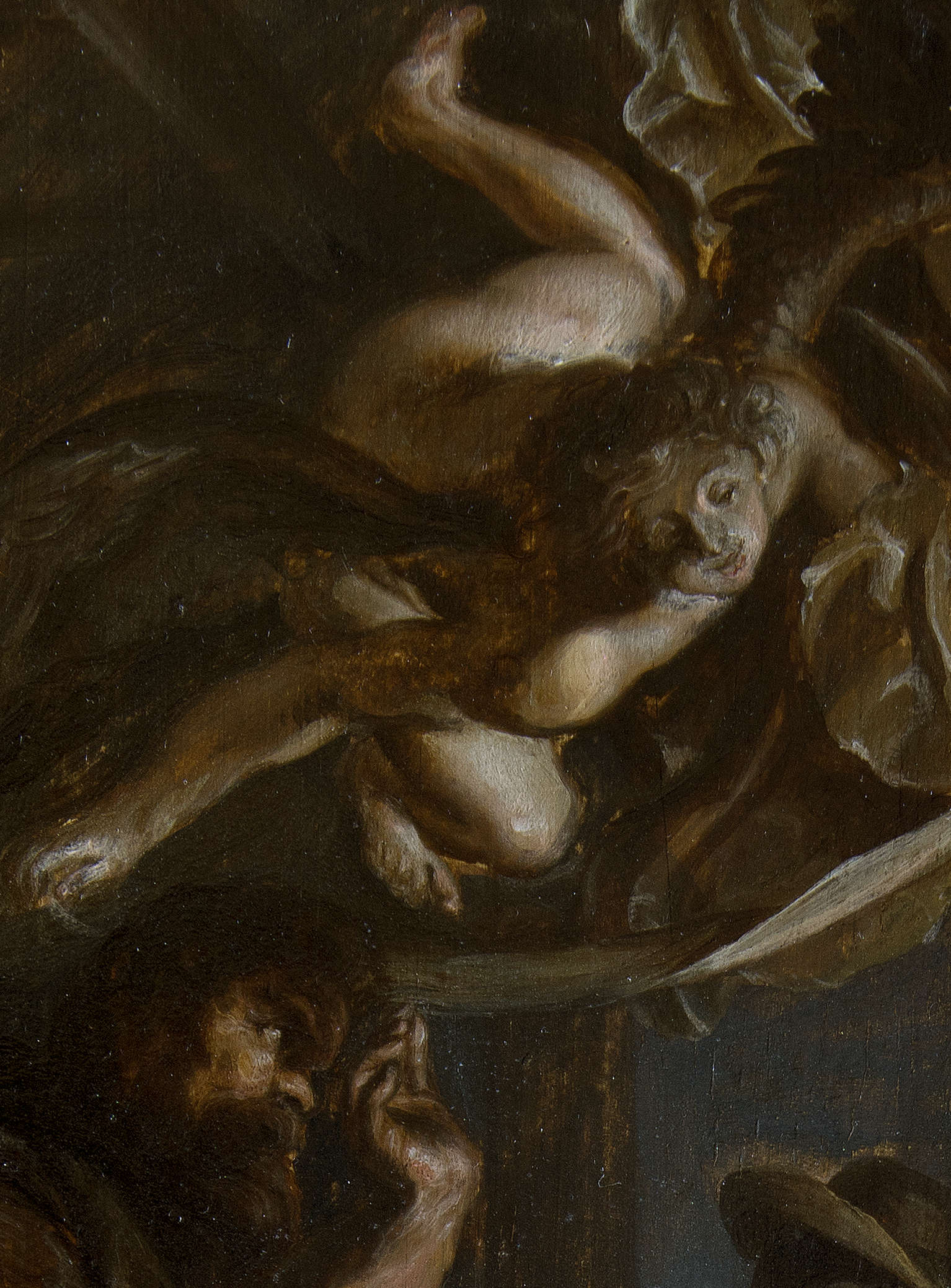 Pieter Paul Rubens, Adorazione dei pastori, dettaglio Pieter Paul Rubens, Adorazione dei pastori, dettaglio