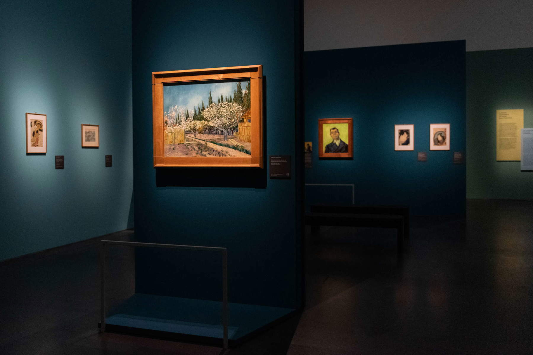 Van Gogh Experience a Milano: tutto quello che c'è da sapere sulla