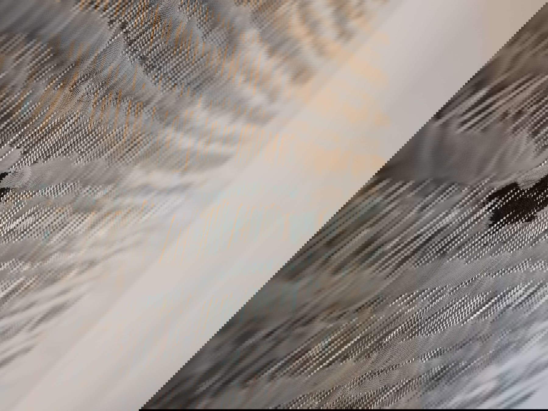 Laura Patacchia, Echo und Pan (2021; Nadeln, Samt, Stoff, Haare, Leinwand, 50x70 cm). Art 4 Future Palazzo Lucarini Contemporary, Trevi, 2023. Foto: Zouhair Bellahmar Laura Patacchia, Echo und Pan (2021; Nadeln, Samt, Stoff, Haare, Leinwand, 50x70 cm). Art 4 Future Palazzo Lucarini Contemporary, Trevi, 2023. Foto: Zouhair Bellahmar