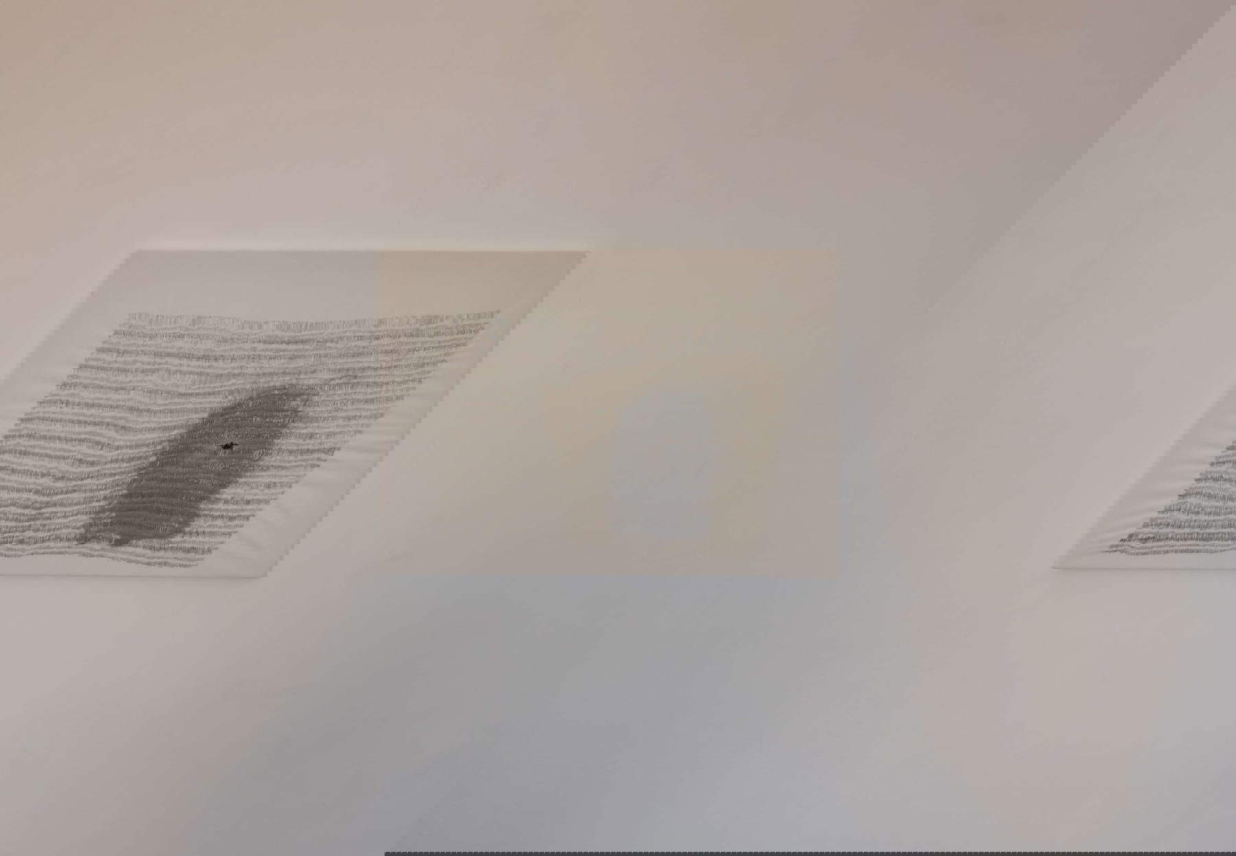 Laura Patacchia, Echo und Pan (2021; Nadeln, Samt, Stoff, Haare, Leinwand, 50x70 cm). Art 4 Future Palazzo Lucarini Contemporary, Trevi, 2023. Foto: Zouhair Bellahmar Laura Patacchia, Echo und Pan (2021; Nadeln, Samt, Stoff, Haare, Leinwand, 50x70 cm). Art 4 Future Palazzo Lucarini Contemporary, Trevi, 2023. Foto: Zouhair Bellahmar