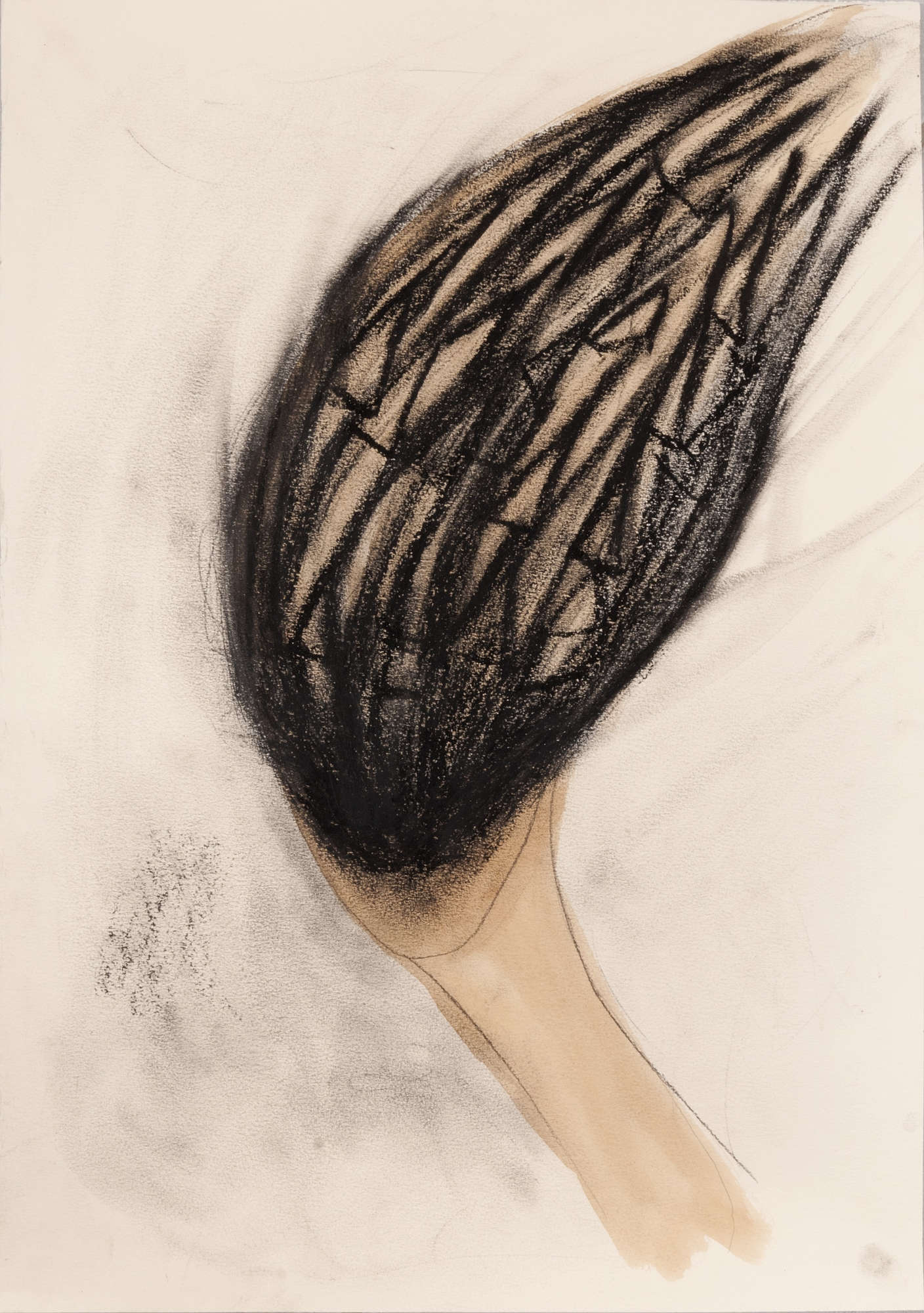 Laura Patacchia, Studio la città di Perla (2015; Bleistift, Ölpastell, Kaffee, 35x50 cm). Foto: Luca Trauzzola Laura Patacchia, Studio la città di Perla (2015; Bleistift, Ölpastell, Kaffee, 35x50 cm). Foto: Luca Trauzzola