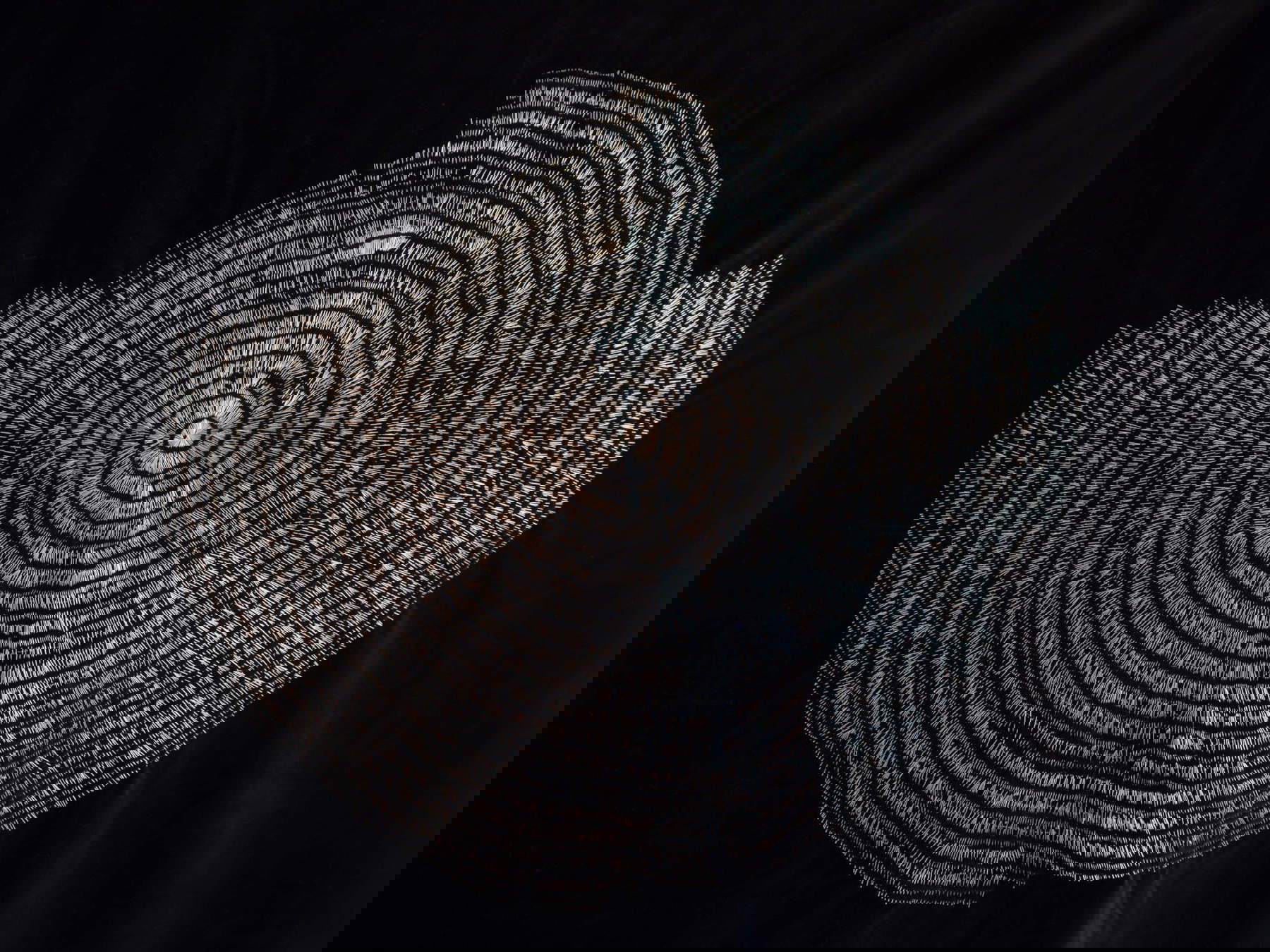 Laura Patacchia, Tonsura (2021; Samt, Stifte, 160x150 cm). Art 4 Future, Palazzo Lucarini Contemporary, Trevi, 2023. Foto: Zouhair Bellahmar Laura Patacchia, Tonsura (2021; Samt, Stifte, 160x150 cm). Art 4 Future, Palazzo Lucarini Contemporary, Trevi, 2023. Foto: Zouhair Bellahmar