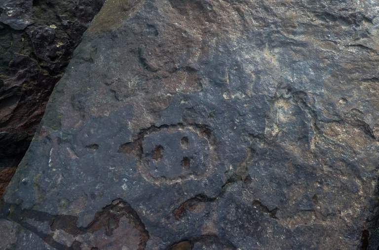 Amazon, record drought uncovers ancient carvings and three unknown archaeological sites