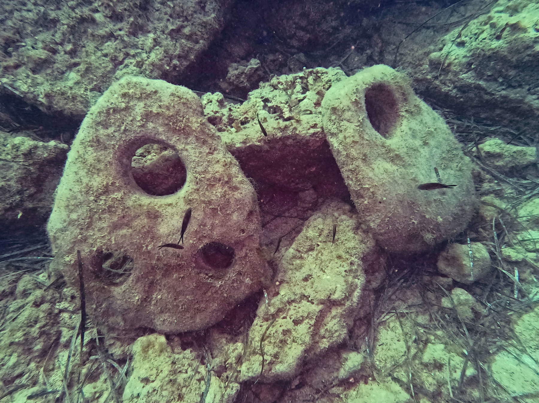 Dos antiguas anclas del periodo Arcaico halladas en el mar frente a Siracusa