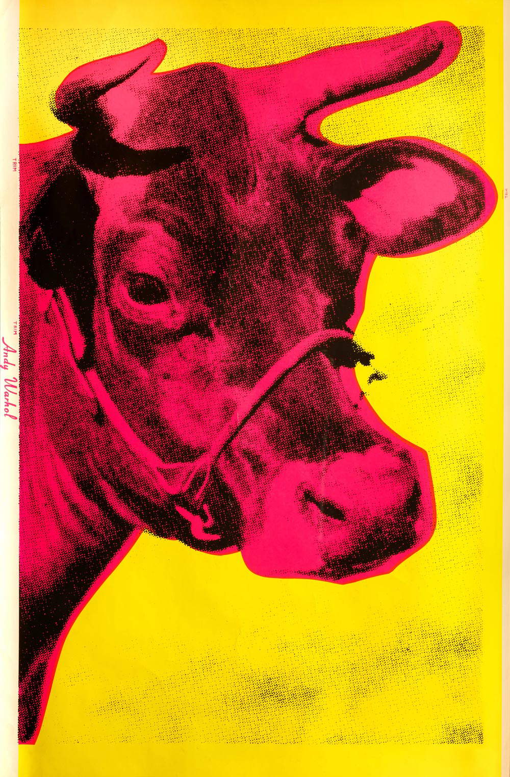 Andy Warhol, Cow (1966; serigrafia su wallpaper; Lugano, Collezione privata Thomas Salafia Bajoni)