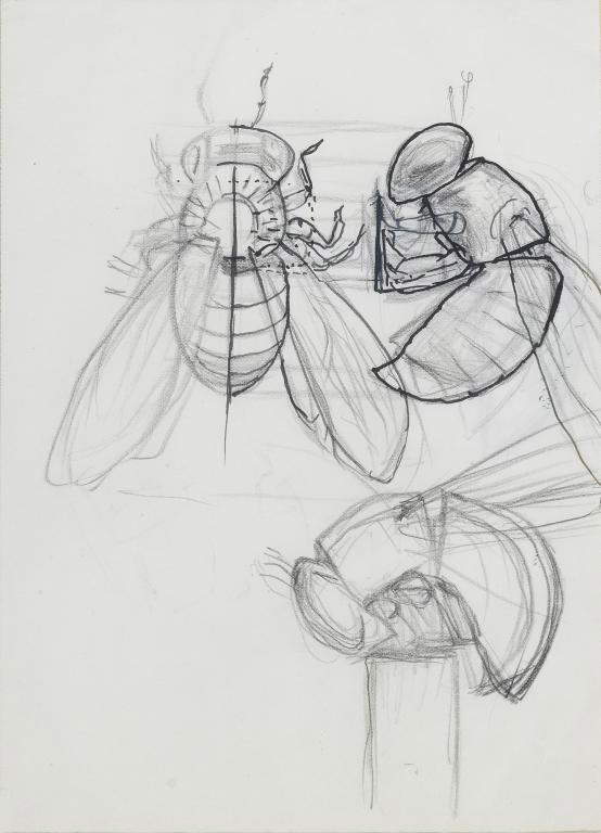 Duilio Cambellotti Duilio Cambellotti