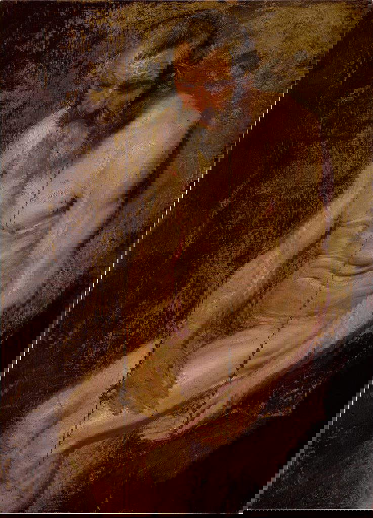 Anton van Dyck, Studio per san Girolamo (1618 circa; olio su tela applicata a tavola, 95 x 58,5 cm)