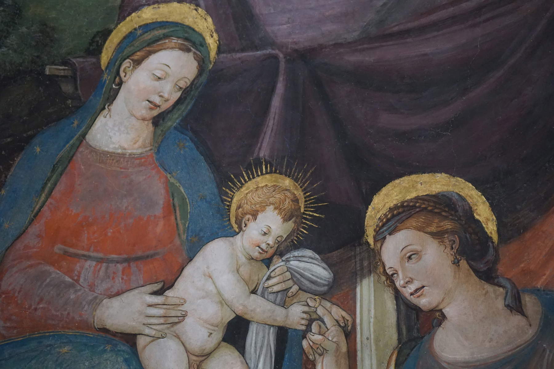 L'Aquila, important cycle of 16th century frescoes discovered during a restoration