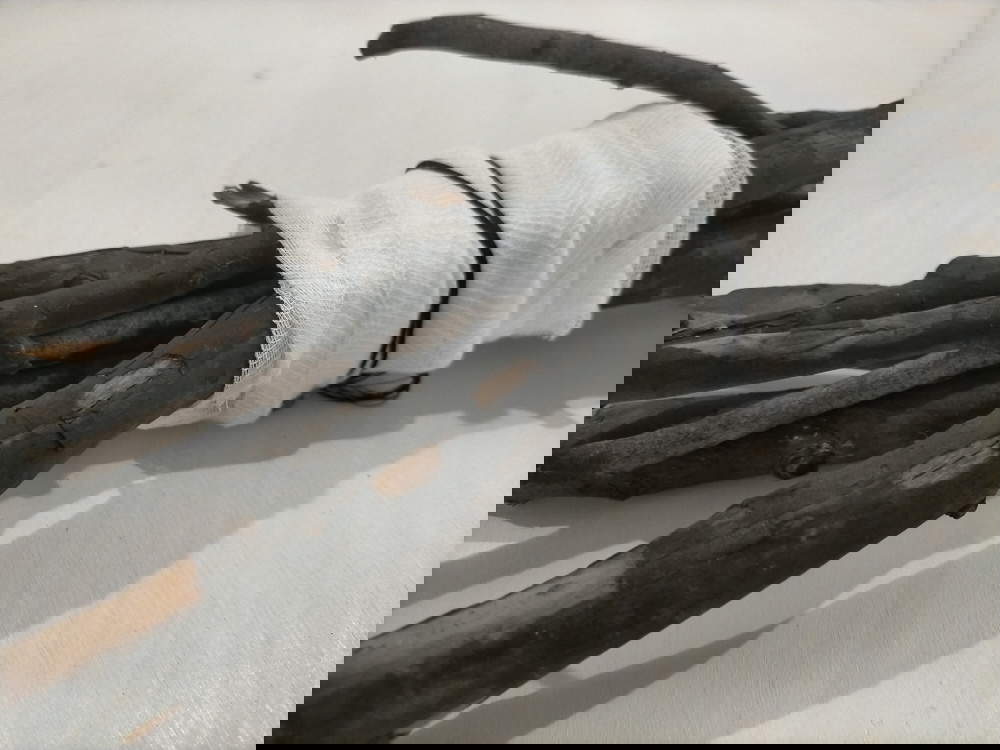 Pietrina Atzori, Communitas (2023; lana grezza pecore Rosset valdostana, lana filata di pecora Rosset valdostana, lana filata a mano di pecora nera di Arbus, legni bruciati, garze mediche, filo di alluminio, fili di lenza, essenze vegetali, fascine di elicriso, legno cimbro per la Valle d’Aosta)