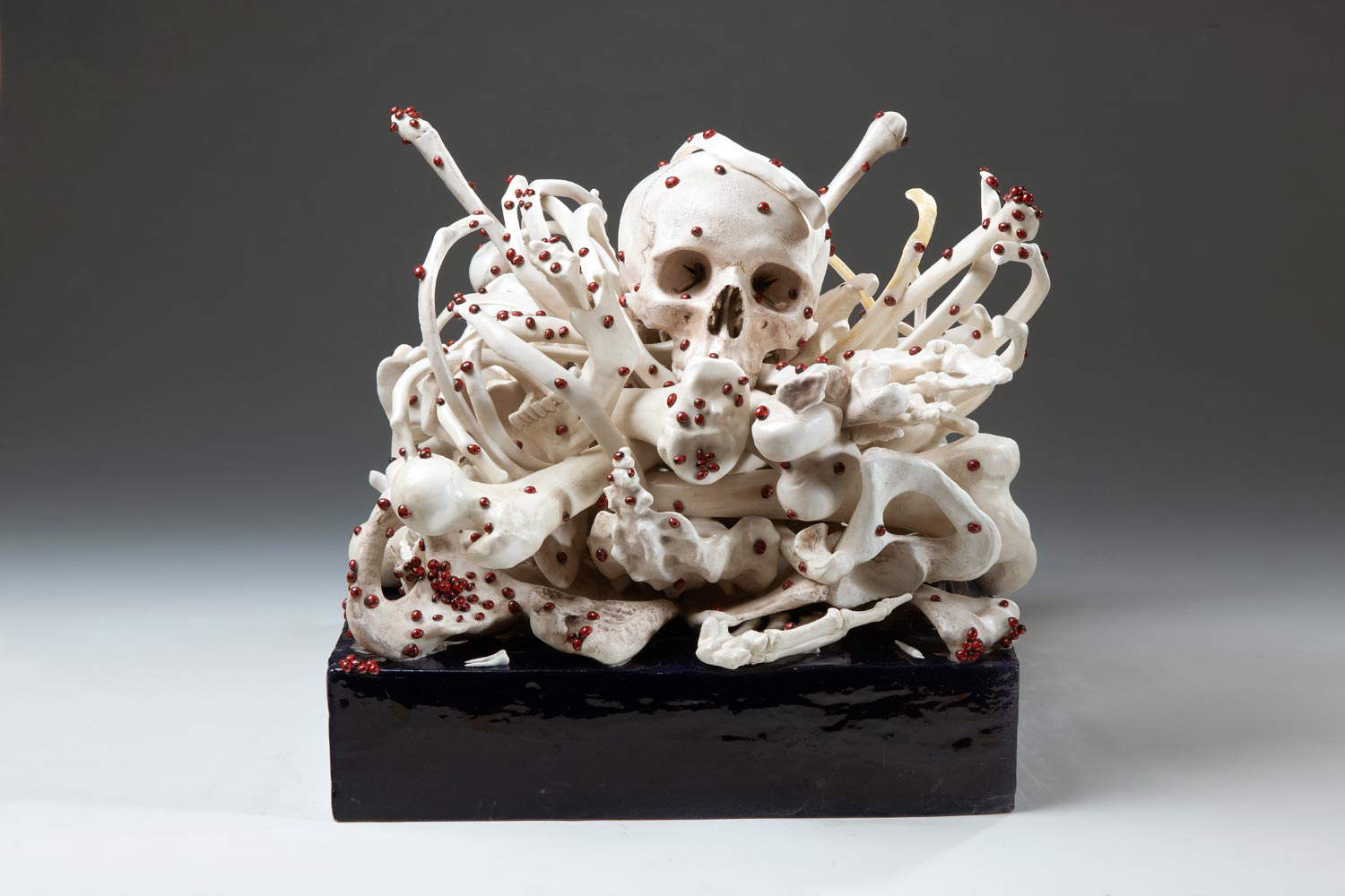 Bertozzi &amp; Casoni, Ossobello (2016)