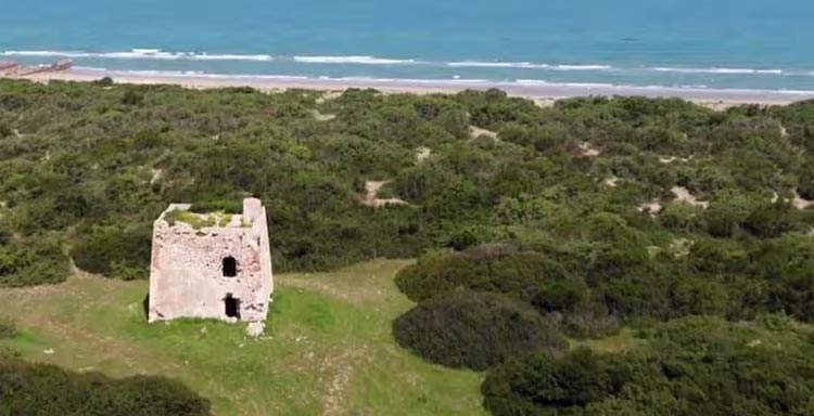 Isla Forestal Isla Forestal