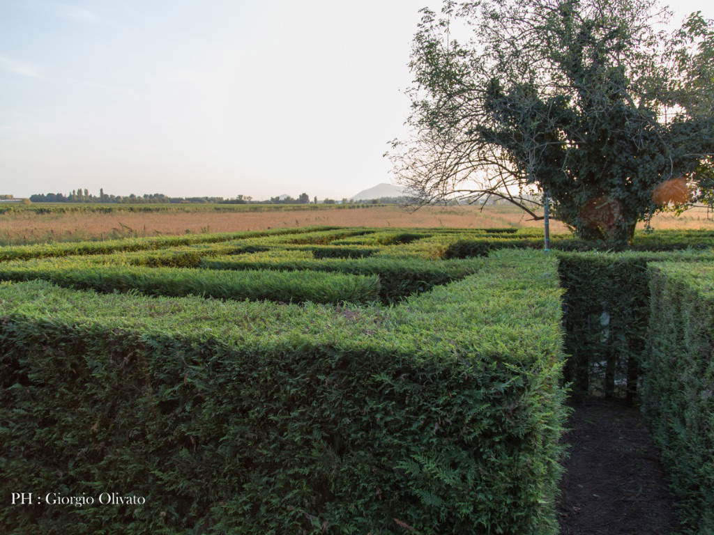 Le labyrinthe de Maybe That Yes Maybe That No. Photo : Château de San Pelagio Le labyrinthe de Maybe That Yes Maybe That No. Photo : Château de San Pelagio