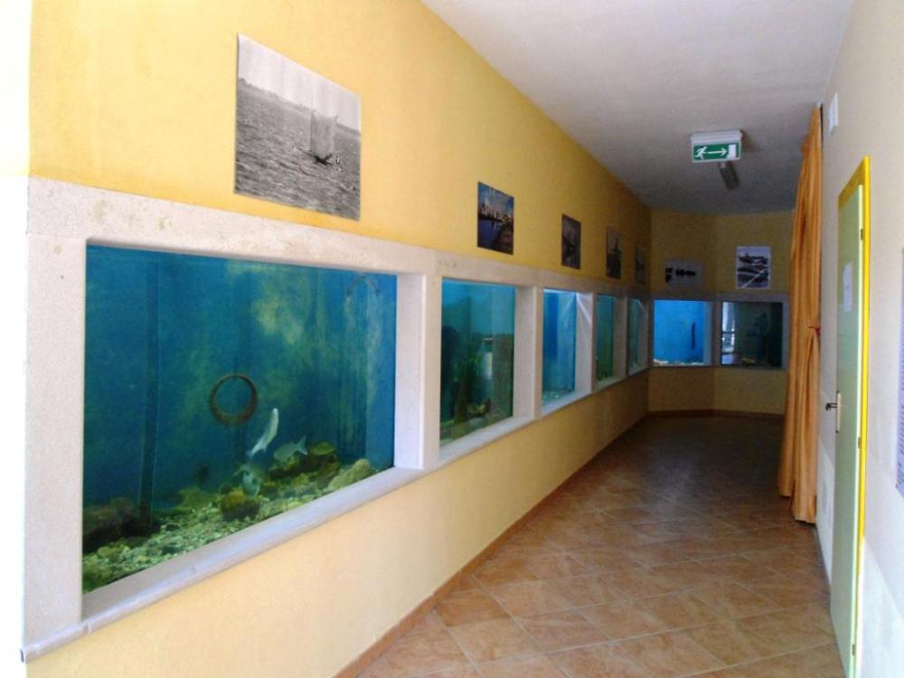 Centro de visitantes de Lesina Centro de visitantes de Lesina