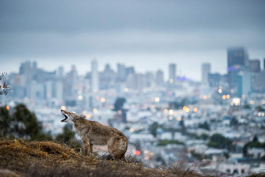 Les œuvres gagnantes des Sony World Photography Awards 2023 au Museo Diocesano de Milan 