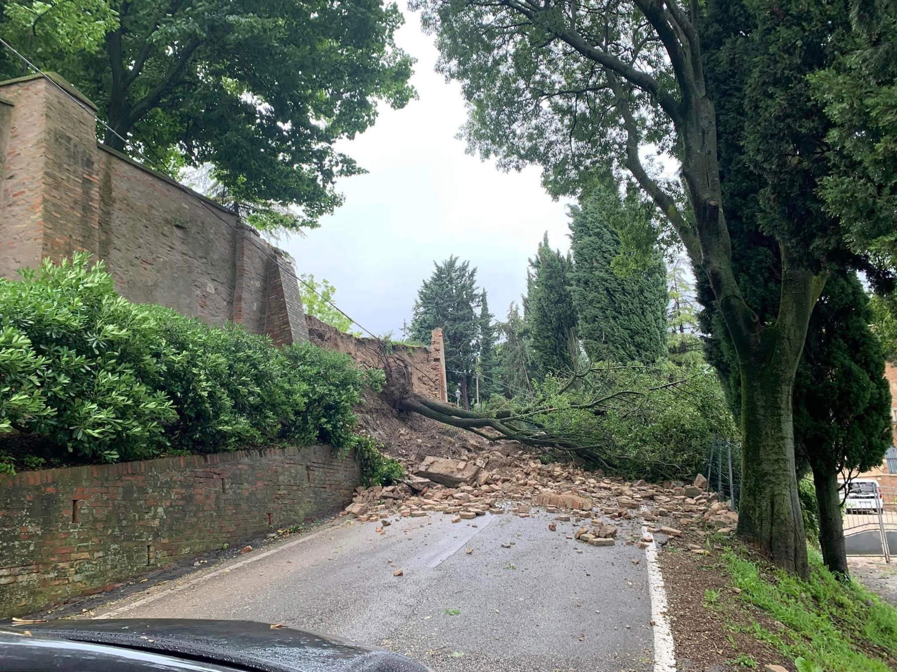 L'abbazia di Santa Maria del Monte di Cesena
