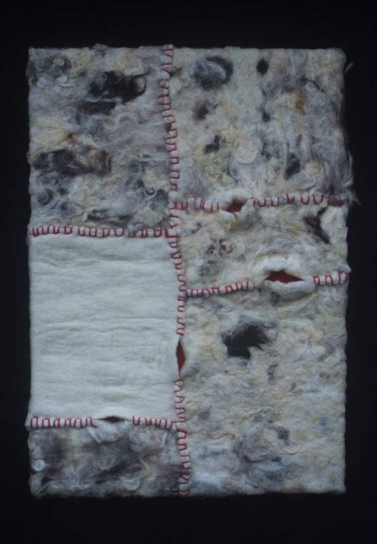 Daniele De Giorgis, Suture (2023; filo di lana, fiocco di lana e lana pettinata infeltriti; 100 x 70 cm). Audio di Luca Favaro