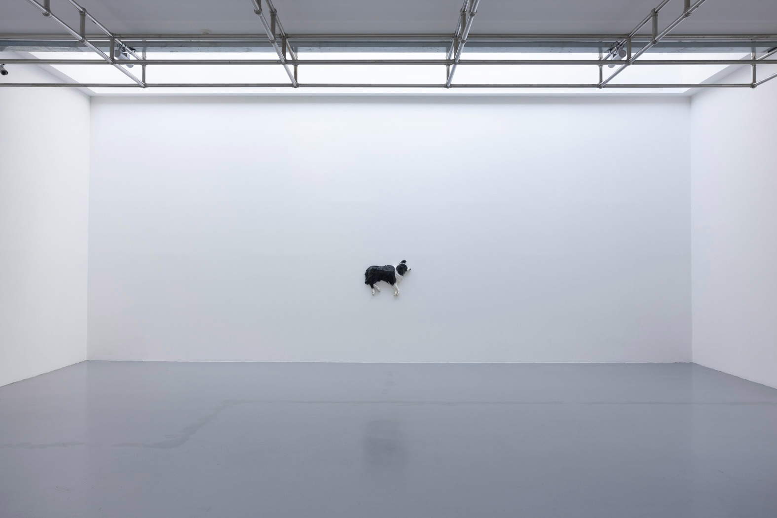 Ausstellungsaufbau Glassa von Diego Marcon