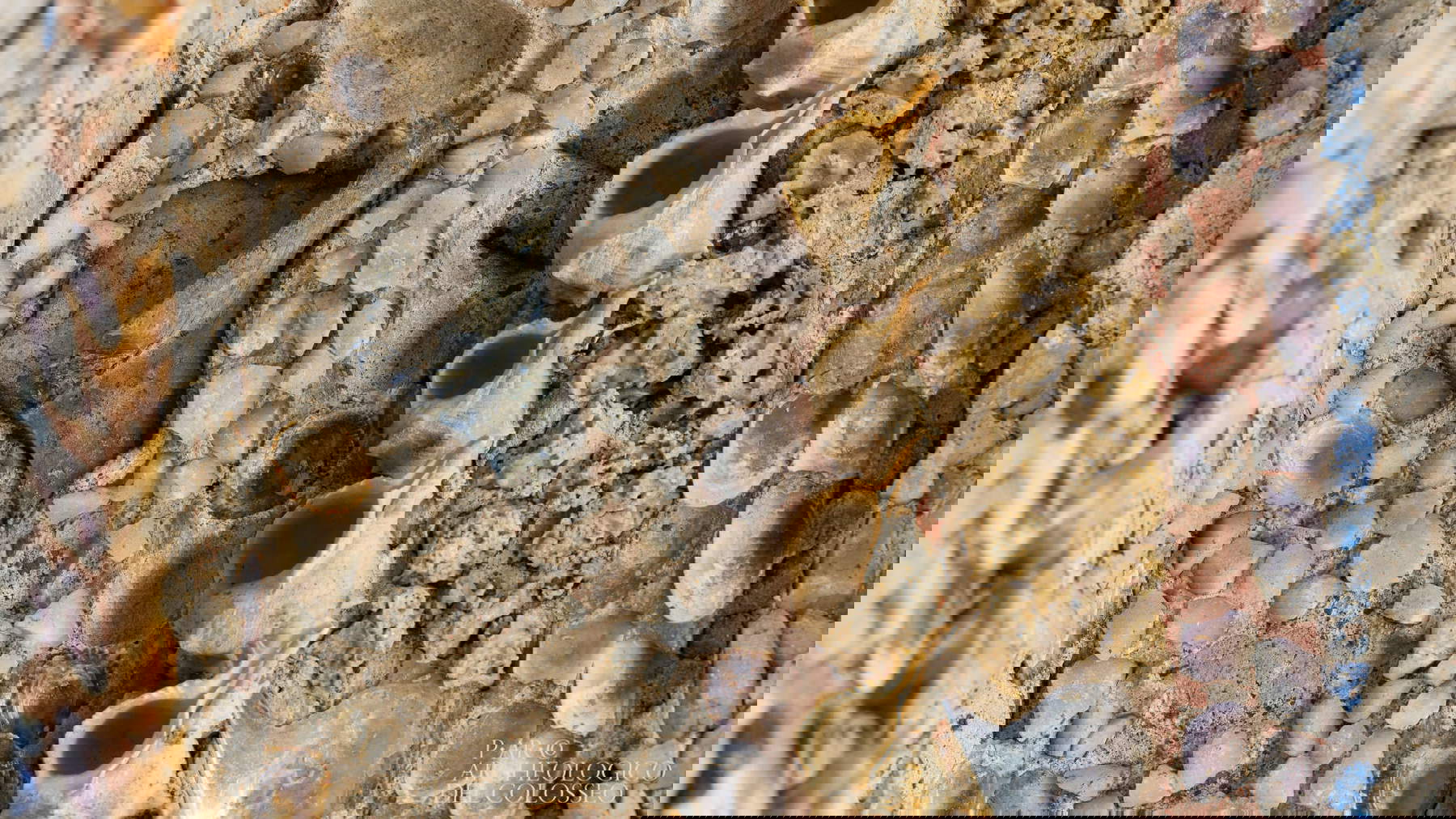 La Domus du Vicus Tuscus. Photo : Simona Murrone